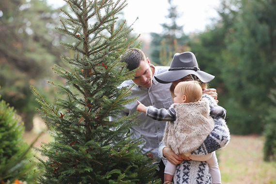 christmas-tree-farm-family-photos-6